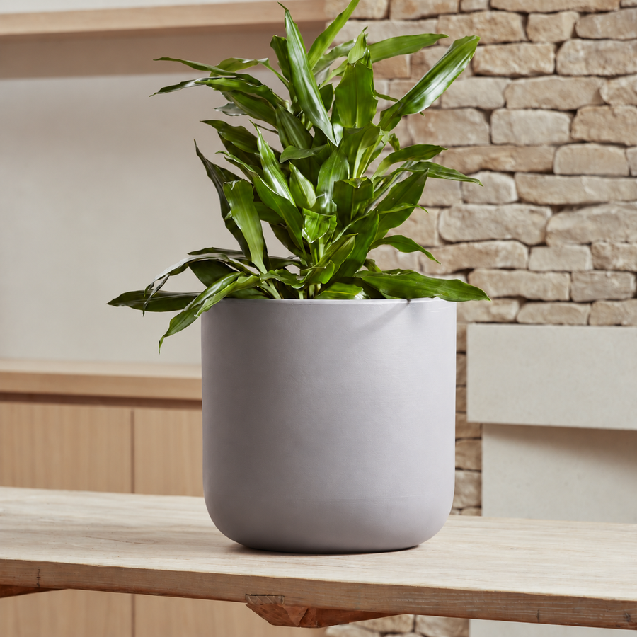 Nova Indoor Plant Pots in taupe and soft grey, featuring a contemporary design with a smooth, matte ceramic glaze.