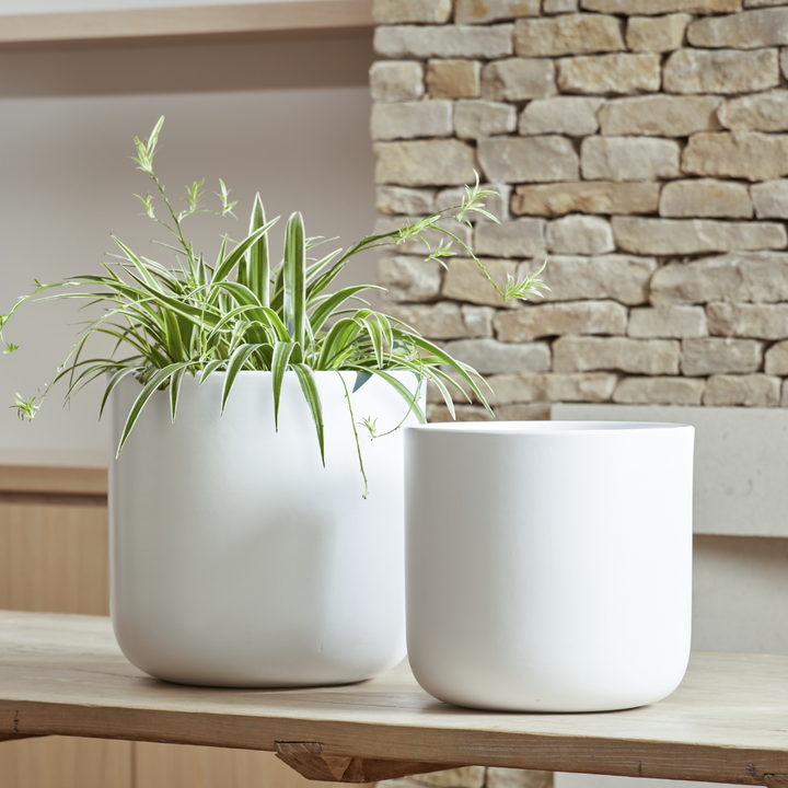 Nova Indoor Plant Pot in White, potted with a plant