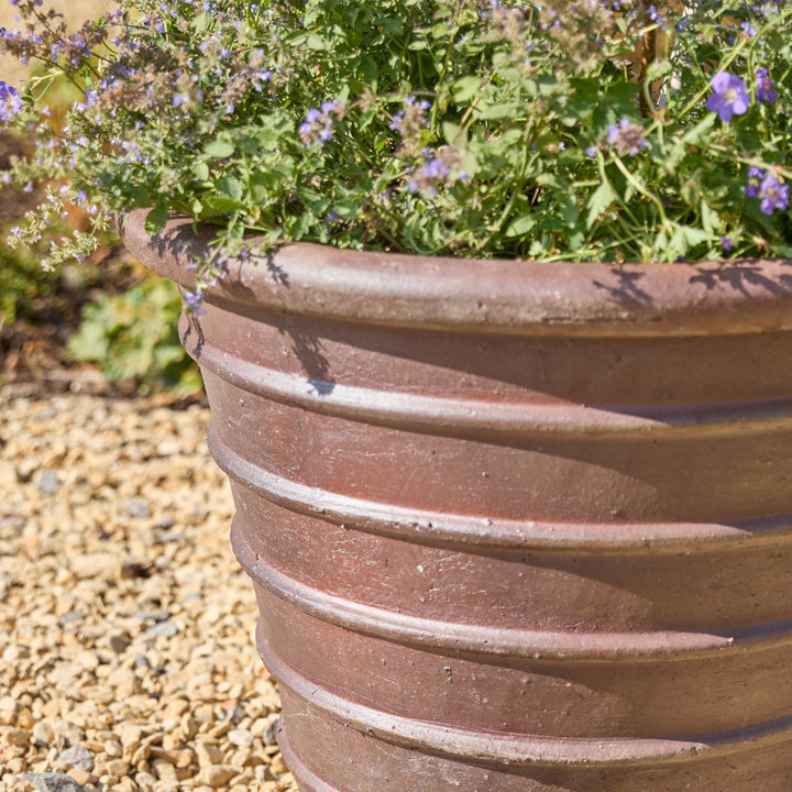 A close-up of a large ribbed terracotta-colored planter pot filled with green foliage and small purple flowers, placed outdoors on a bed of gravel.