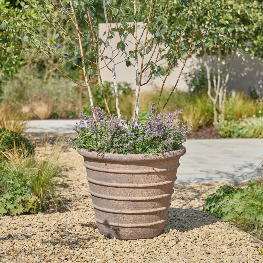 A large ribbed terracotta-colored planter pot filled with green foliage and small purple flowers, placed outdoors on gravel beside a garden path.