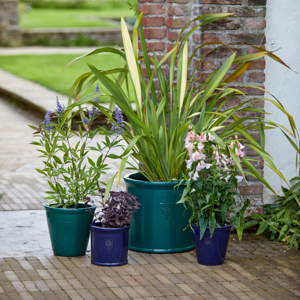 RHS Cylinder | Wisley Glazed Planter