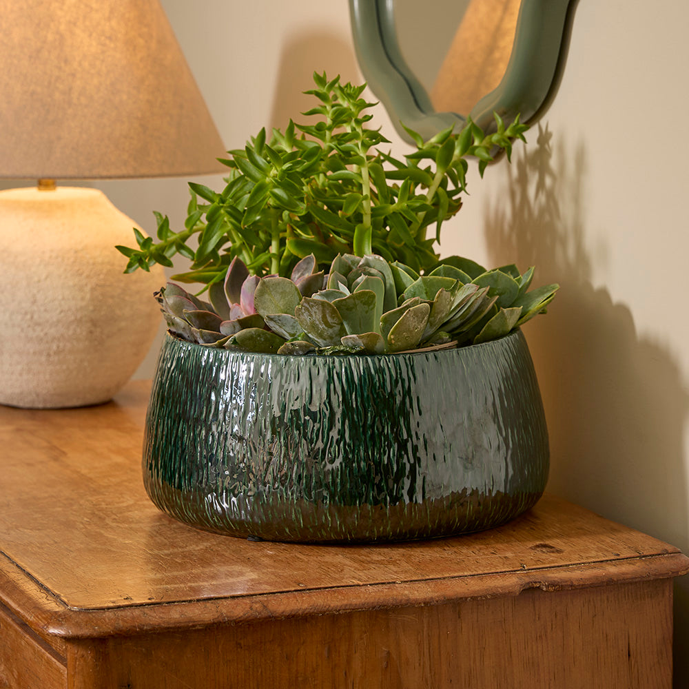 Green ceramic pot with succulents on a wooden surface next to a lamp.