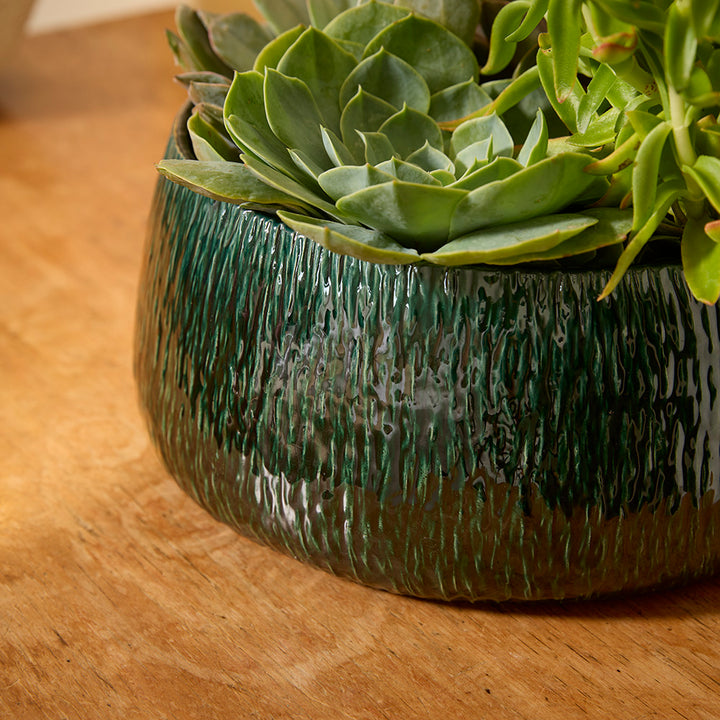 Green textured pot with succulents on a wooden surface