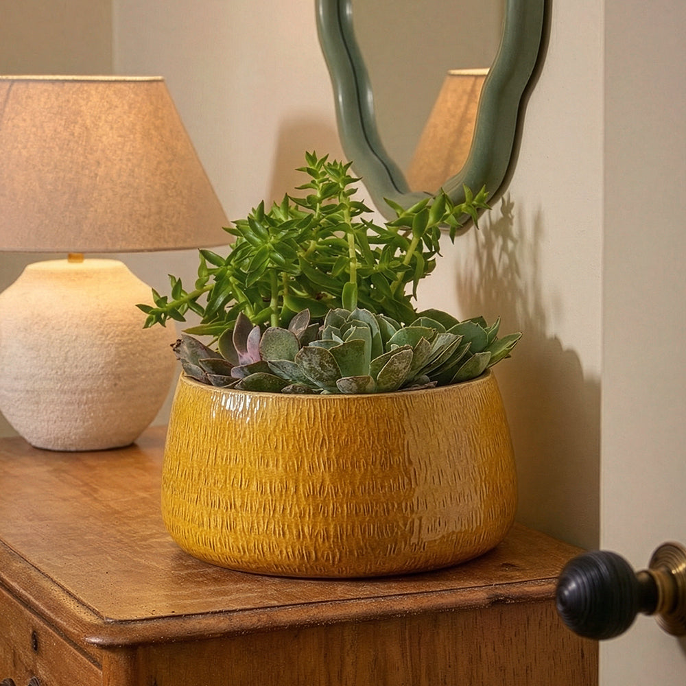 Yellow ceramic pot with succulents on a wooden surface next to a lamp and mirror.