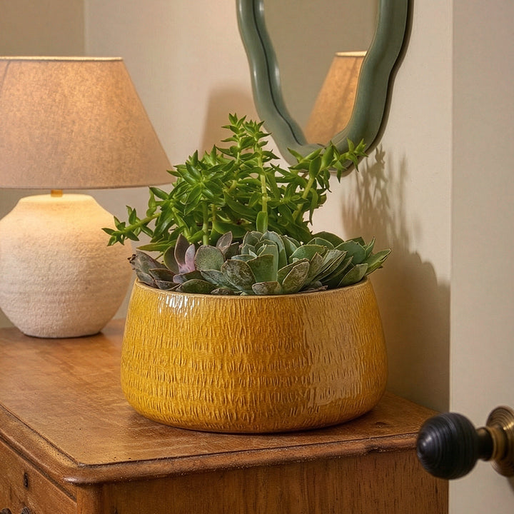 Yellow ceramic pot with succulents on a wooden surface next to a lamp and mirror.
