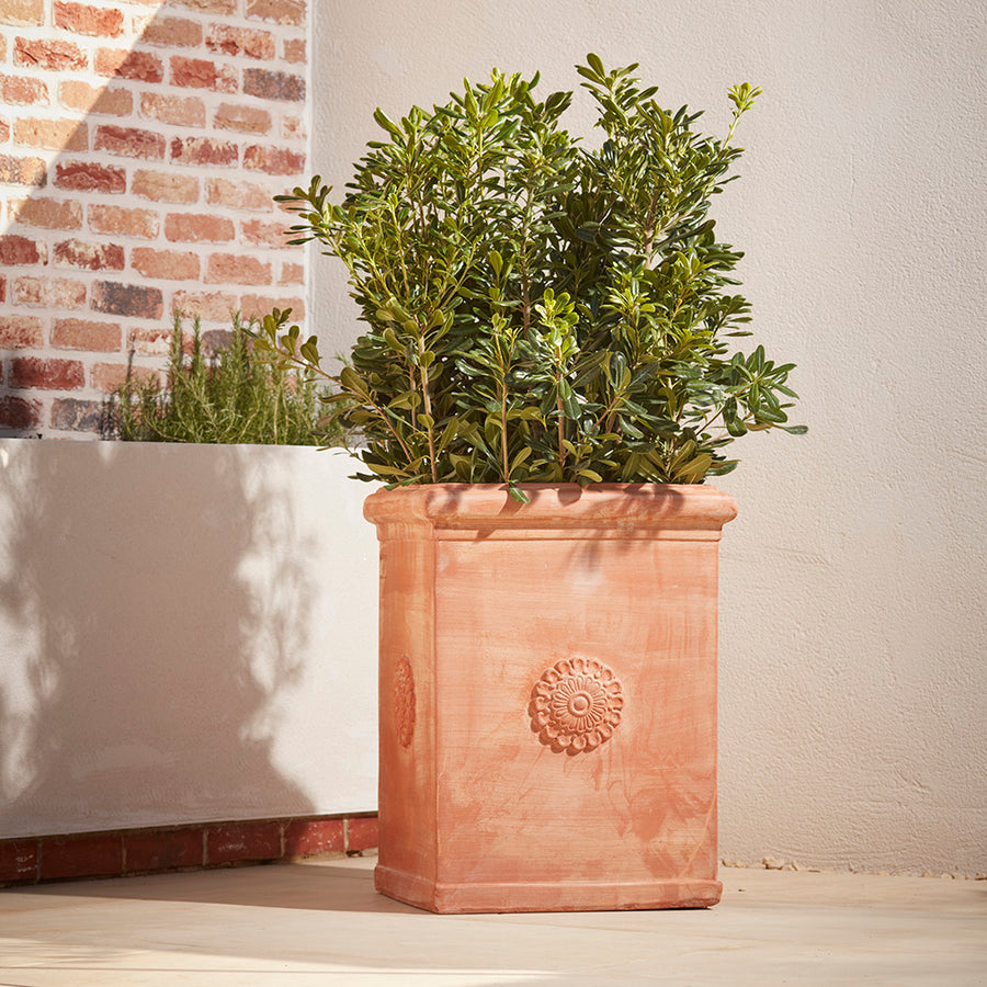 Large Italian Terracotta Square Garden Planter positioned in a sunny place on a Mediterranean patio