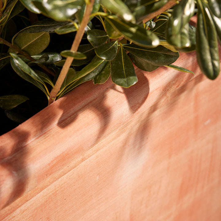 Close up of terracotta rolled rim of the formal, square  Rosette garden plant pot. A beautiful tuscan design, available in the uk 