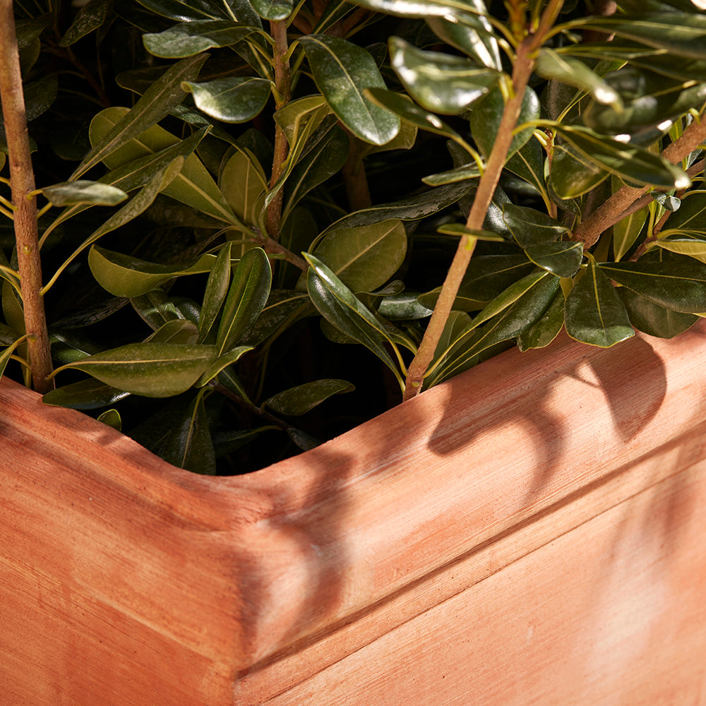 Close up of robust and durable rolled rim of the Rosetta Square Garden Plant Pot 