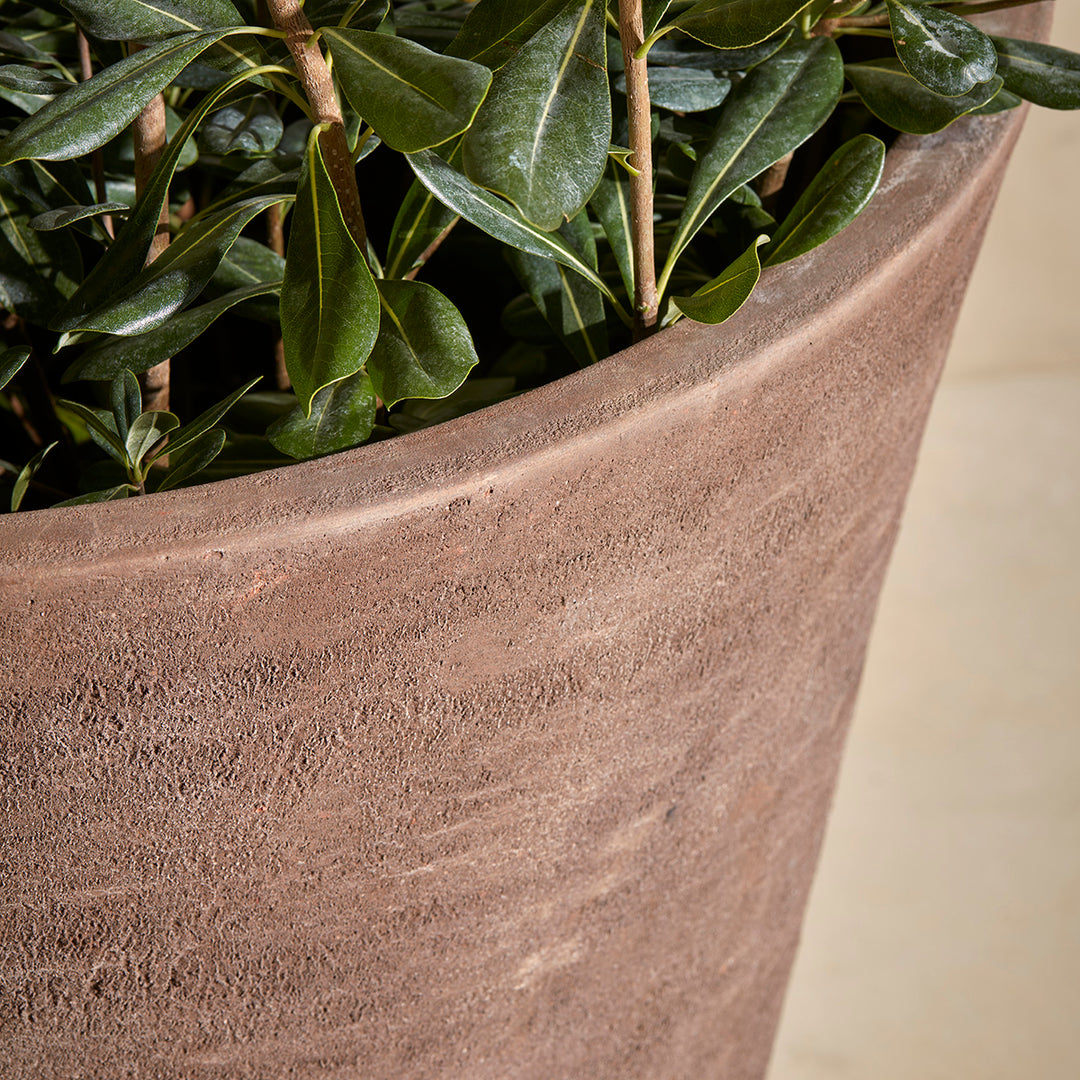 Close-up of smooth chocolate  terracotta garden pot, showcasing textured detailing.