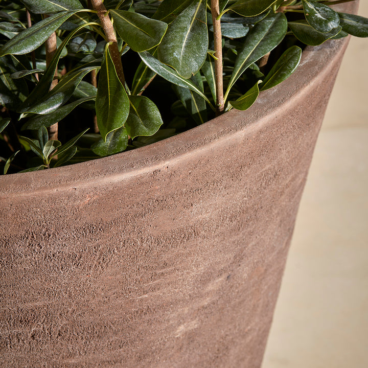 Close-up of smooth chocolate  terracotta garden pot, showcasing textured detailing.