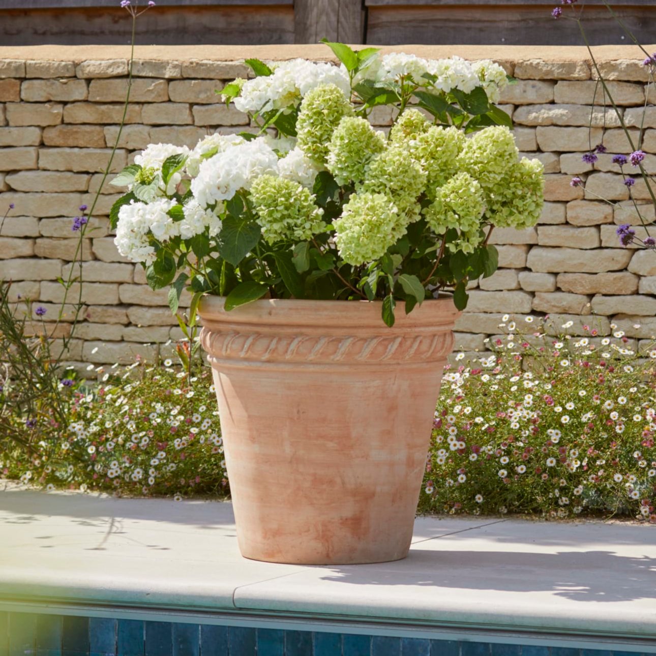 Sienna Large Terracotta Plant Pot