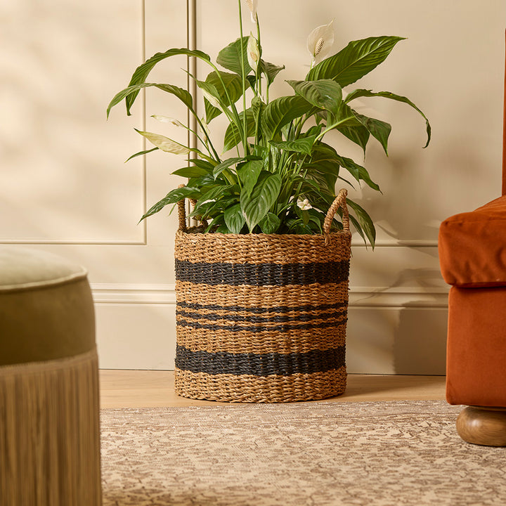 Woven basket with a plant on a wooden floor in a room with beige walls and a brown chair.