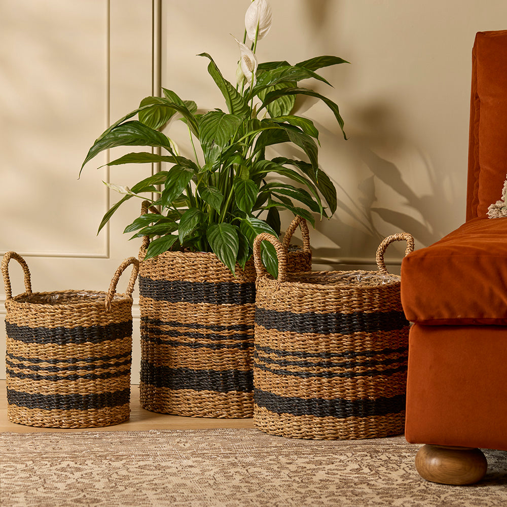 Woven baskets with striped patterns containing plants in a living room setting.