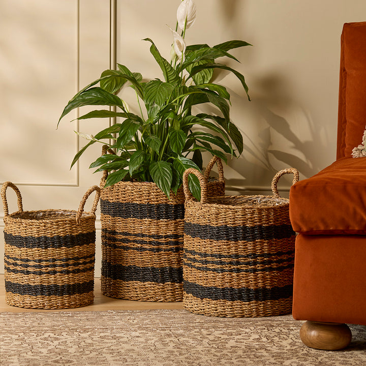 Woven baskets with striped patterns containing plants in a living room setting.