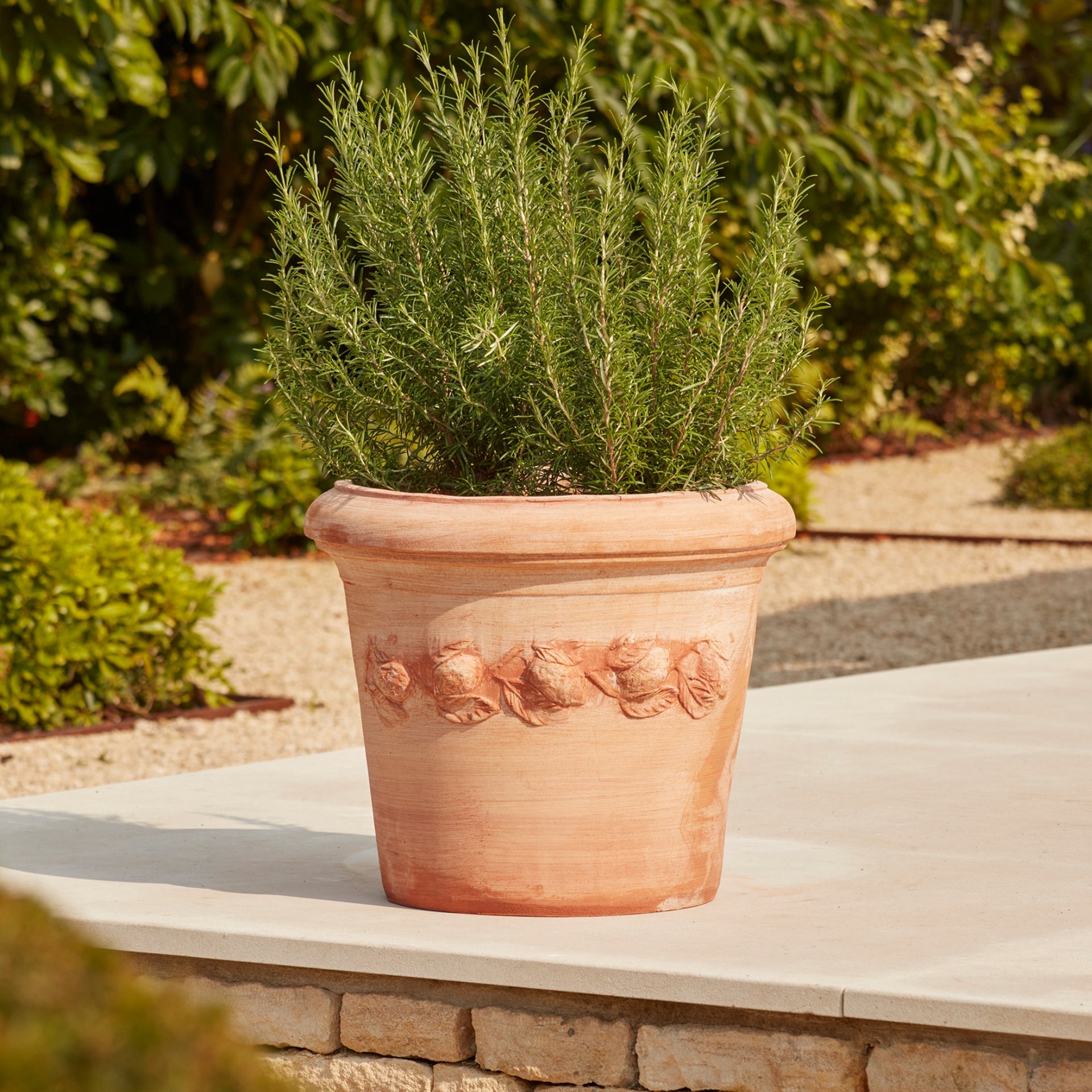 Sorrento Large Citrus Plant Pot