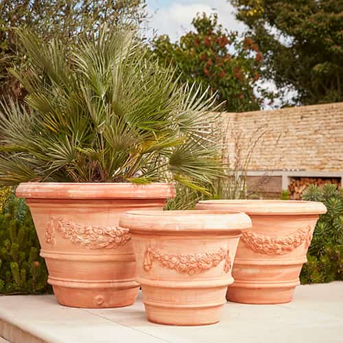Three terracotta plant pots grouped on a terrace planted with Mediterranean trees