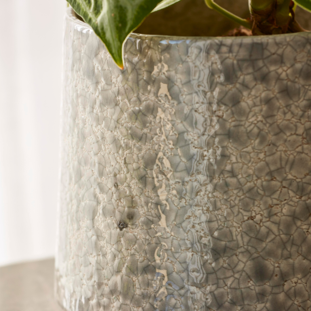 Torres Indoor Plant Pot in a soft neutral shade, styled with a delicate green plant on a modern tabletop.