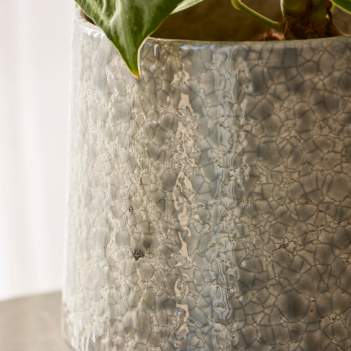 Torres Indoor Plant Pot in a soft neutral shade, styled with a delicate green plant on a modern tabletop.
