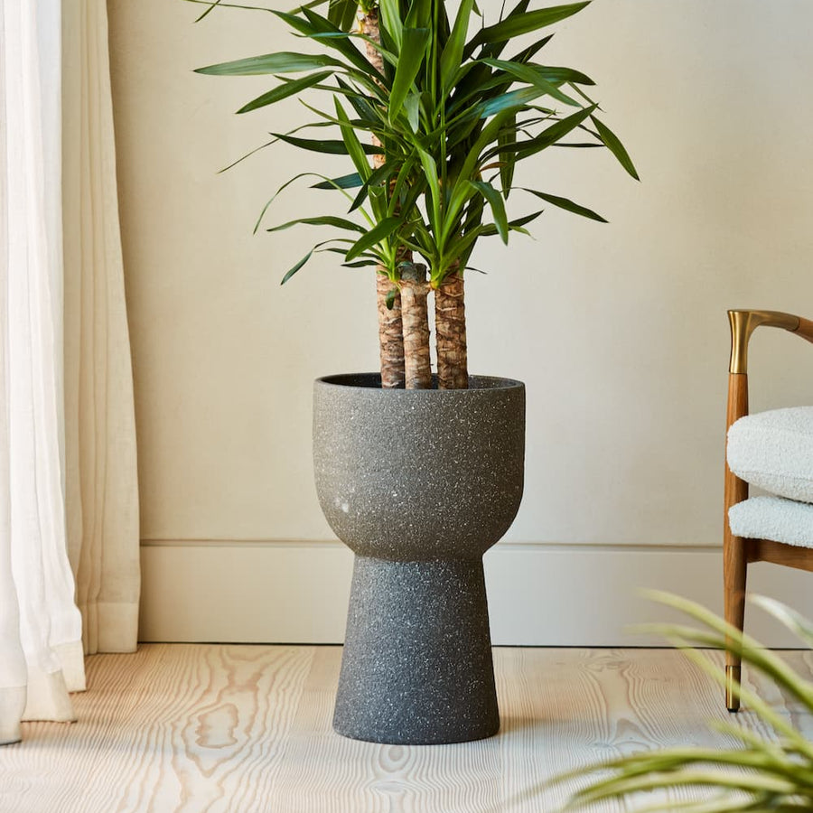 The Tomi Indoor Planter, a modern pedestal-style ceramic pot in textured grey, displayed with a tall green plant. Handmade in Portugal, its structural design adds height and elegance to indoor spaces.