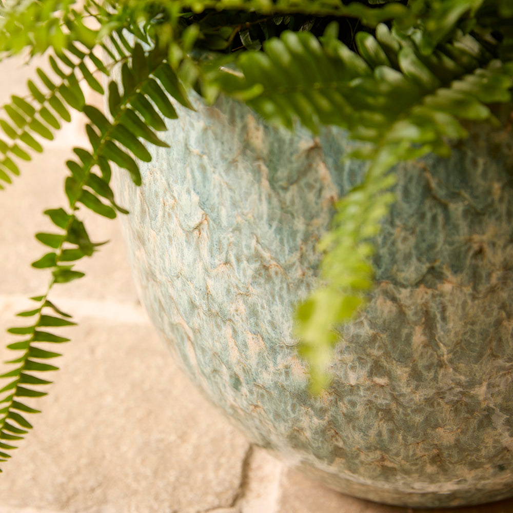 Green potted plant with a textured pot on a light background