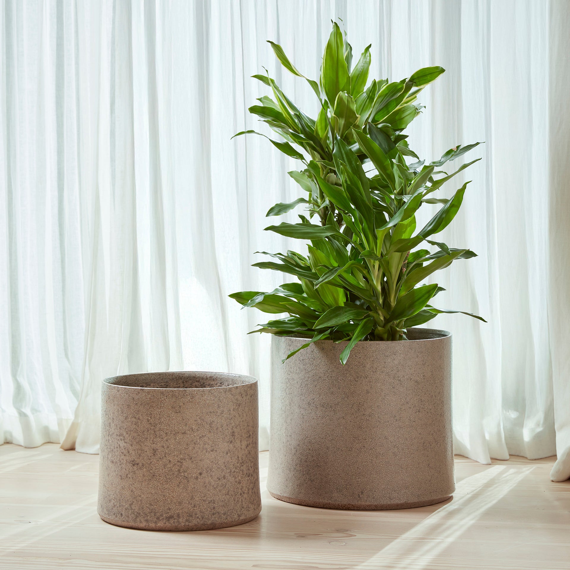 Torres Indoor Plant Pot