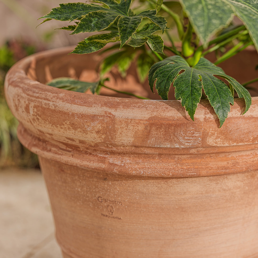 Detail of the Bordo Italian large terracotta pot rim, showing the clay edge and warm natural tones of frostproof terracotta.