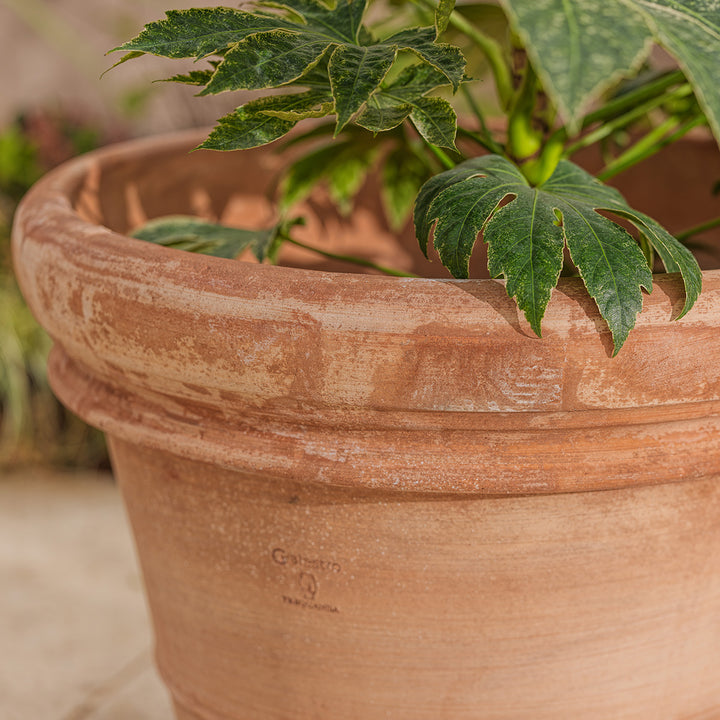 Detail of the Bordo Italian large terracotta pot rim, showing the clay edge and warm natural tones of frostproof terracotta.
