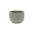 RHS low bowl planter green