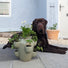 Kitchen Herbs | Glazed Tiered Planter