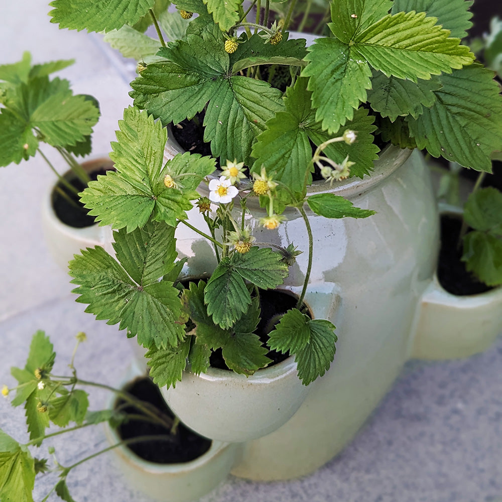 Kitchen Herbs Glazed Tiered Planter