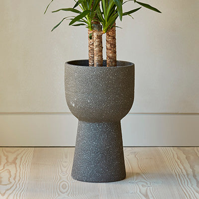 Potted plant in a contemporary, grey textured pot with stand on a wooden floor with a white wall background