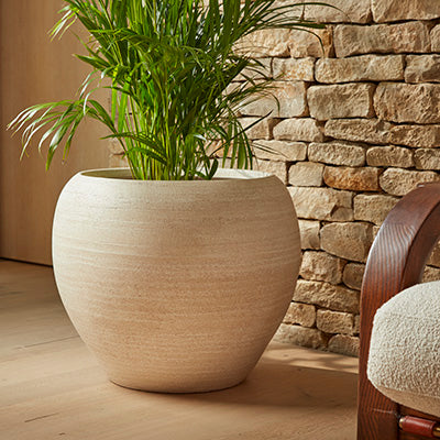 Large white ceramic indoor plant pot plante with a tree in the hallway of a farmhouse