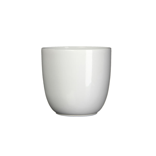 17cm gloss white indoor ceramic plant pot