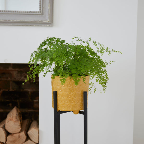 Yellow Indoor Ceramic Plant Pot with Feet