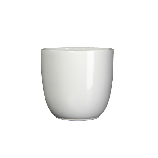 22cm gloss white indoor ceramic plant pot