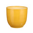 22cm gloss yellow indoor ceramic plant po