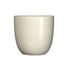 25cm gloss cream indoor ceramic plant pot