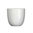 25cm gloss white indoor ceramic plant pot