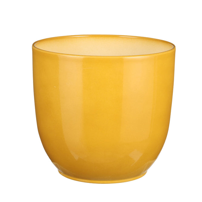 25cm gloss yellow indoor ceramic plant po