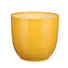 25cm gloss yellow indoor ceramic plant po