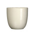 28cm gloss cream indoor ceramic plant pot