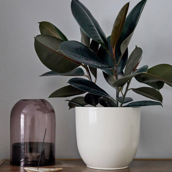 28cm gloss white indoor ceramic plant pot