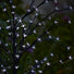 4 Foot Solar Blossom Tree 3 Lumens