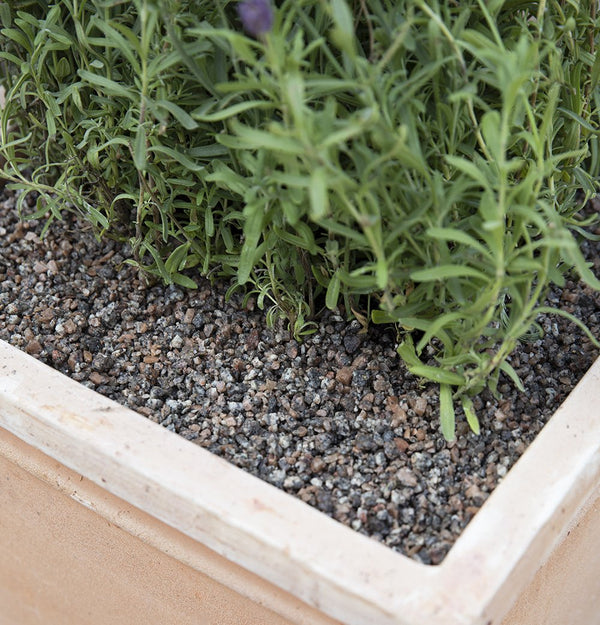 Decorative Coarse Gravel & Pot Toppers - 4mm - Gardenesque