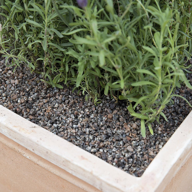 Decorative Coarse Gravel & Pot Toppers - 4mm - Gardenesque