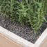 Decorative Coarse Gravel & Pot Toppers - 4mm - Gardenesque