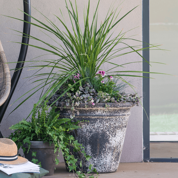 Extra Large Stone Plant Pot for Trees at Gardenesque