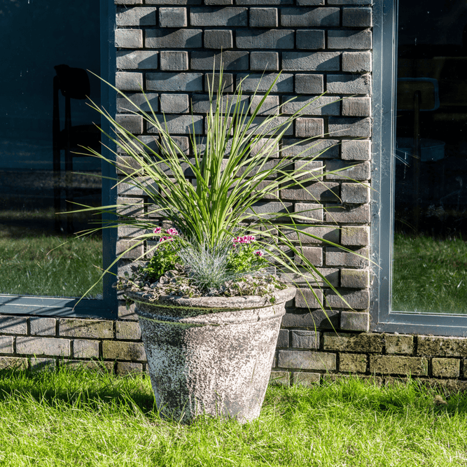 Extra Large Stone Plant Pot for Trees at Gardenesque