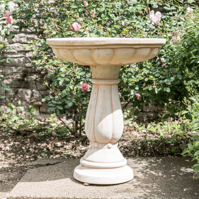 Image of Large terracotta pot with birdbath shape