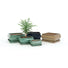 Kijiri Rectangular Bonsai Tree Plant Pots & Saucer Sets - 3 Sizes - Gardenesque